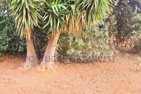 Villa i Guia, Faro, Guia - € 2.000.000 | Ref: PBI-1364 - foto 13