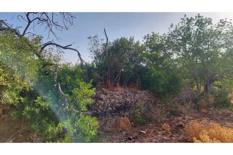 Helårsgrund i Fuseta, Faro, Fuseta - € 180.000 | Ref: PBI-1365 - foto 7