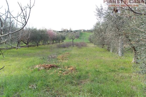 Lejlighed i Spinetoli, Ascoli Piceno, Spinetoli - € 179.000 | Ref: VM2746 - foto 27