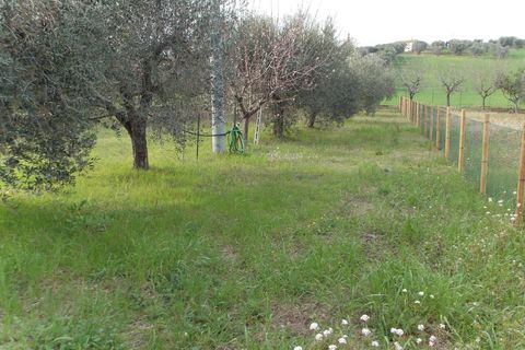 Lejlighed i Spinetoli, Ascoli Piceno, Spinetoli - € 179.000 | Ref: VM2746 - foto 28