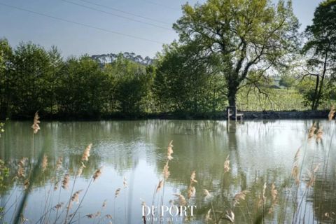 Farm i Bordeaux, Gironde, Bordeaux - € 12.600.000 | Ref: 82670062Q - foto 5