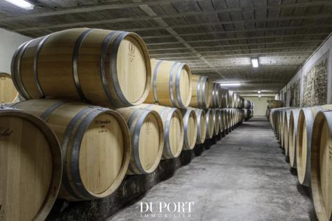 Farm i Bordeaux, Gironde, Bordeaux - € 12.600.000 | Ref: 82670062Q - foto 14