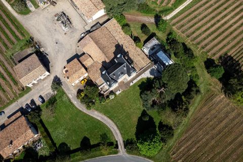 Farm i Bordeaux, Gironde, Bordeaux - € 12.600.000 | Ref: 82670062Q - foto 23