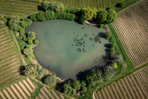Farm i Bordeaux, Gironde, Bordeaux - € 12.600.000 | Ref: 82670062Q - foto 24