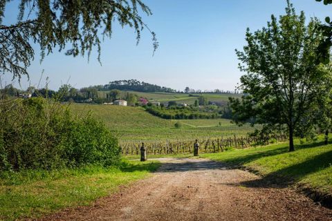 Farm i Bordeaux, Gironde, Bordeaux - € 12.600.000 | Ref: 82670062Q - foto 29
