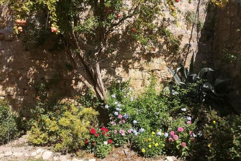 Villa i Cassaigne, Gers, Cassaigne - € 288.000 | Ref: CT2736 - foto 4