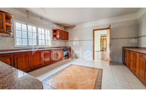 Villa i Ponta do Sol, Madeira, Ponta do Sol - € 425.000 | Ref: 101281 - foto 13