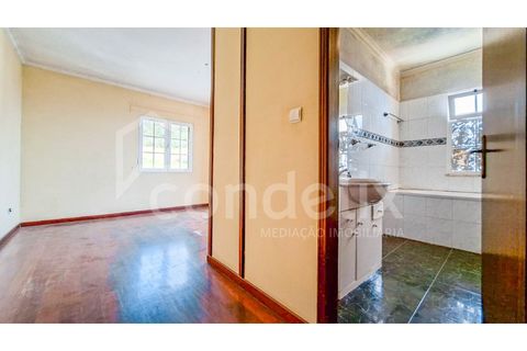 Villa i Ponta do Sol, Madeira, Ponta do Sol - € 425.000 | Ref: 101281 - foto 17