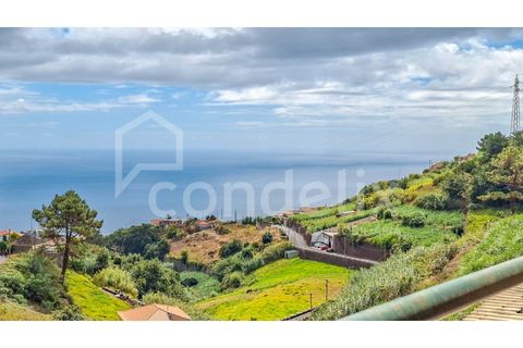 Villa i Ponta do Sol, Madeira, Ponta do Sol - € 425.000 | Ref: 101281 - foto 24