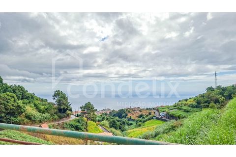 Villa i Ponta do Sol, Madeira, Ponta do Sol - € 425.000 | Ref: 101281 - foto 26