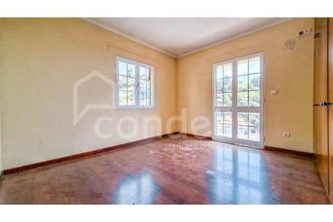 Villa i Ponta do Sol, Madeira, Ponta do Sol - € 425.000 | Ref: 101281 - foto 27