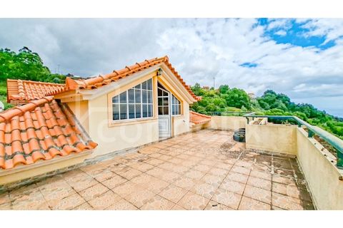 Villa i Ponta do Sol, Madeira, Ponta do Sol - € 425.000 | Ref: 101281 - foto 31