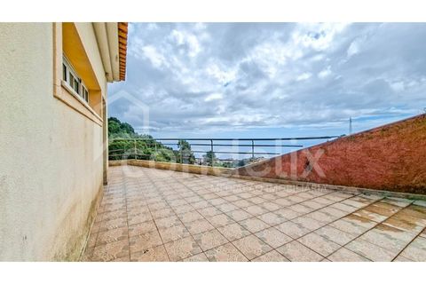 Villa i Ponta do Sol, Madeira, Ponta do Sol - € 425.000 | Ref: 101281 - foto 36