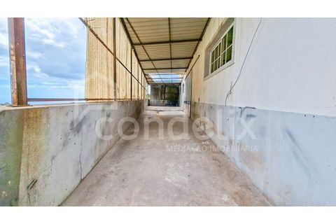 Villa i Ponta do Sol, Madeira, Ponta do Sol - € 425.000 | Ref: 101281 - foto 37