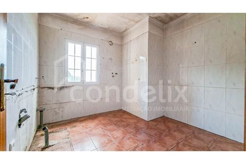 Villa i Ponta do Sol, Madeira, Ponta do Sol - € 425.000 | Ref: 101281 - foto 40