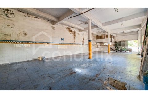 Villa i Ponta do Sol, Madeira, Ponta do Sol - € 425.000 | Ref: 101281 - foto 42