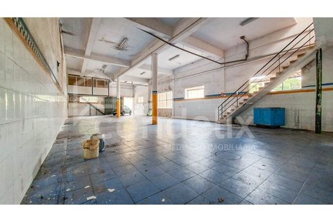 Villa i Ponta do Sol, Madeira, Ponta do Sol - € 425.000 | Ref: 101281 - foto 43