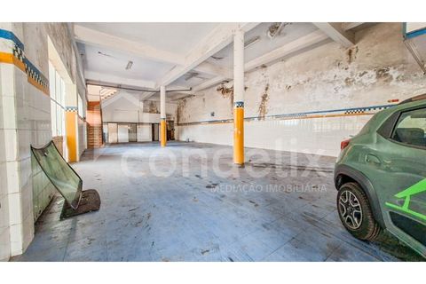 Villa i Ponta do Sol, Madeira, Ponta do Sol - € 425.000 | Ref: 101281 - foto 44