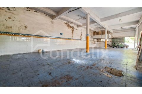 Villa i Ponta do Sol, Madeira, Ponta do Sol - € 425.000 | Ref: 101281 - foto 45