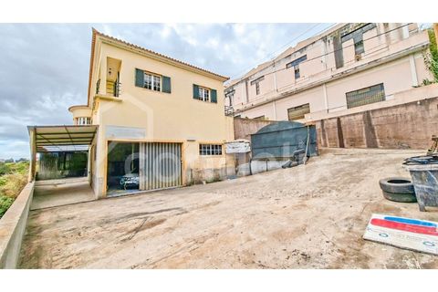 Villa i Ponta do Sol, Madeira, Ponta do Sol - € 425.000 | Ref: 101281 - foto 50