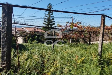 Villa i Lousada, Porto, Lousada - € 320.000 | Ref: 365/M/03221 - foto 26
