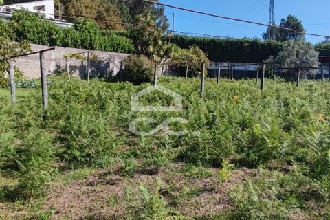 Villa i Lousada, Porto, Lousada - € 320.000 | Ref: 365/M/03221 - foto 28