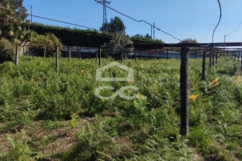 Villa i Lousada, Porto, Lousada - € 320.000 | Ref: 365/M/03221 - foto 29