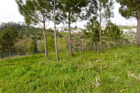 Helårsgrund i Mafra, Lisbon, Mafra - € 224.000 | Ref: 747T - foto 4