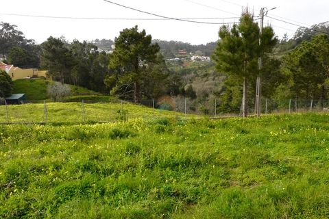 Helårsgrund i Mafra, Lisbon, Mafra - € 224.000 | Ref: 747T - foto 3