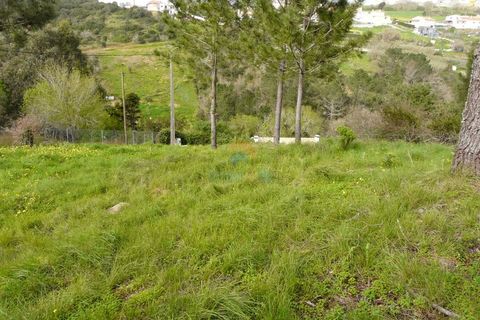 Helårsgrund i Mafra, Lisbon, Mafra - € 224.000 | Ref: 747T - foto 5