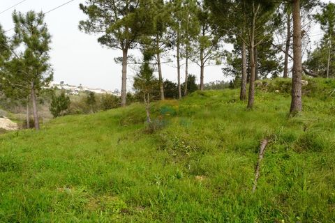 Helårsgrund i Mafra, Lisbon, Mafra - € 224.000 | Ref: 747T - foto 6