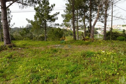 Helårsgrund i Mafra, Lisbon, Mafra - € 224.000 | Ref: 747T - foto 7