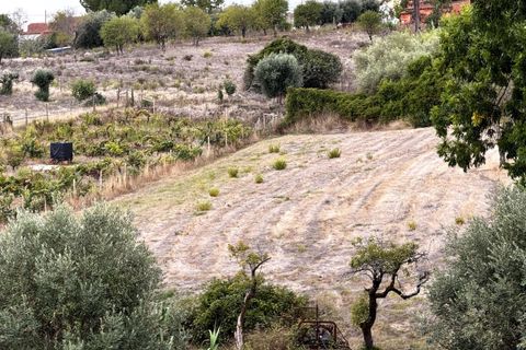 Villa i Tomar, Santarem, Tomar - € 480.000 | Ref: TL067 - foto 28
