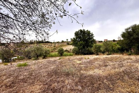 Villa i Tomar, Santarem, Tomar - € 480.000 | Ref: TL067 - foto 30