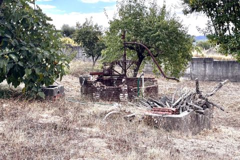 Villa i Tomar, Santarem, Tomar - € 480.000 | Ref: TL067 - foto 31