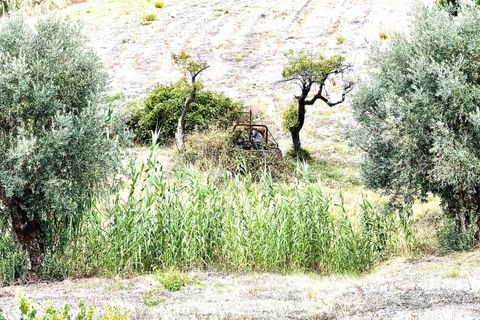Villa i Tomar, Santarem, Tomar - € 480.000 | Ref: TL067 - foto 32