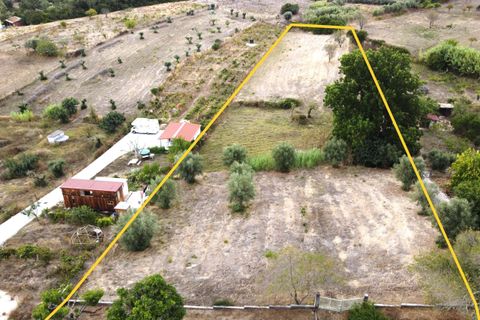 Villa i Tomar, Santarem, Tomar - € 480.000 | Ref: TL067 - foto 34