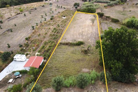 Villa i Tomar, Santarem, Tomar - € 480.000 | Ref: TL067 - foto 35