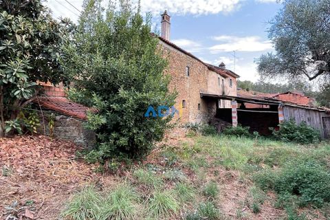 Ruinere i Castelo Branco, Castelo Branco, Castelo Branco - € 35.000 | Ref: 125090 - foto 12