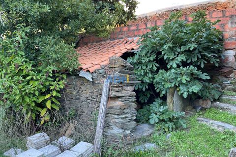 Ruinere i Castelo Branco, Castelo Branco, Castelo Branco - € 35.000 | Ref: 125090 - foto 17