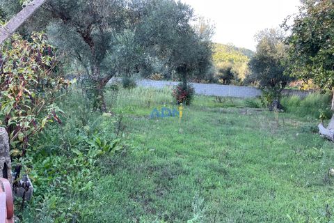 Ruinere i Castelo Branco, Castelo Branco, Castelo Branco - € 35.000 | Ref: 125090 - foto 23