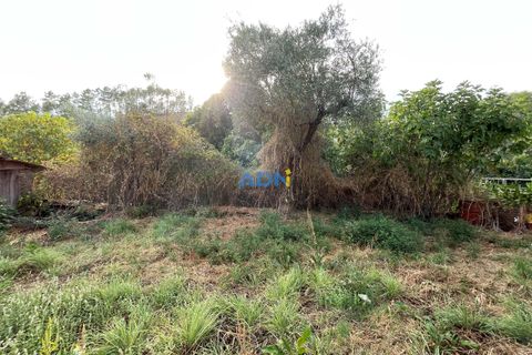 Ruinere i Castelo Branco, Castelo Branco, Castelo Branco - € 35.000 | Ref: 125090 - foto 24