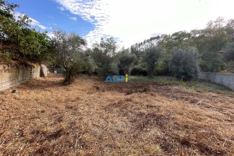Ruinere i Castelo Branco, Castelo Branco, Castelo Branco - € 35.000 | Ref: 125090 - foto 25