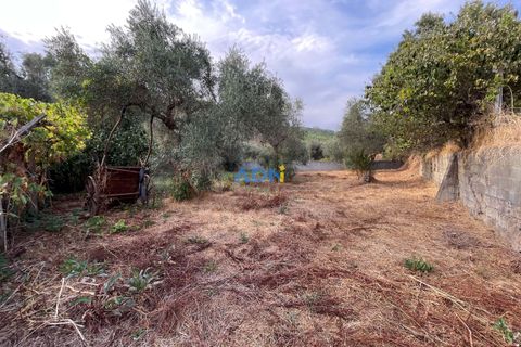 Ruinere i Castelo Branco, Castelo Branco, Castelo Branco - € 35.000 | Ref: 125090 - foto 26