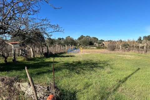 Farm hus i Escalos de Cima e Lousa, Castelo Branco, Escalos de Cima e Lousa - € 60.000 | Ref: 124124 - foto 1