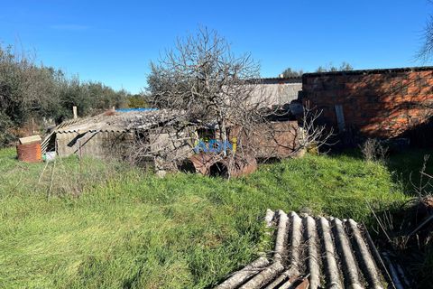 Farm hus i Escalos de Cima e Lousa, Castelo Branco, Escalos de Cima e Lousa - € 60.000 | Ref: 124124 - foto 4