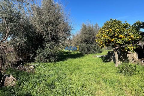 Farm hus i Escalos de Cima e Lousa, Castelo Branco, Escalos de Cima e Lousa - € 60.000 | Ref: 124124 - foto 5