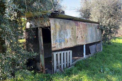 Farm hus i Escalos de Cima e Lousa, Castelo Branco, Escalos de Cima e Lousa - € 60.000 | Ref: 124124 - foto 6