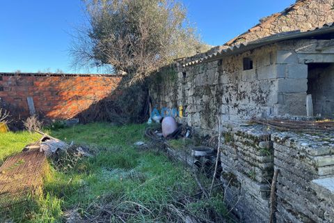 Farm hus i Escalos de Cima e Lousa, Castelo Branco, Escalos de Cima e Lousa - € 60.000 | Ref: 124124 - foto 7