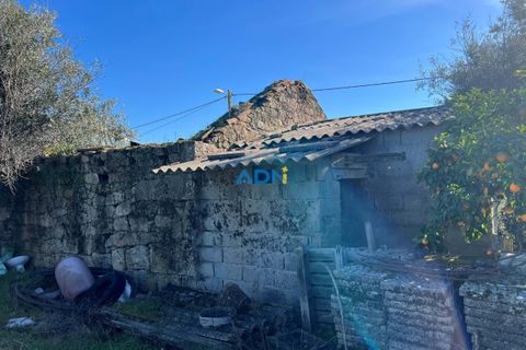 Farm hus i Escalos de Cima e Lousa, Castelo Branco, Escalos de Cima e Lousa - € 60.000 | Ref: 124124 - foto 8